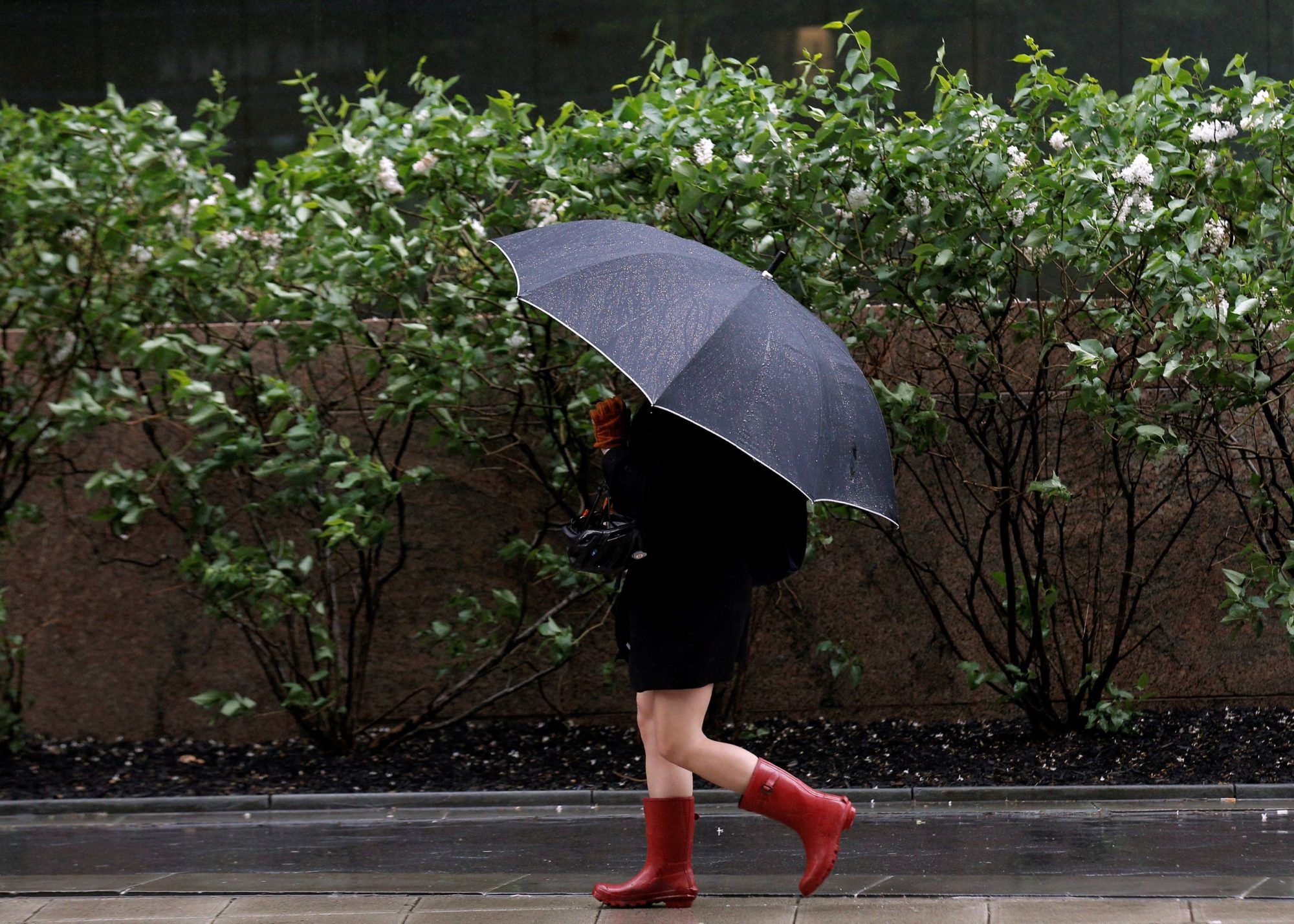 У яких областях України очікують дощі - фото 1