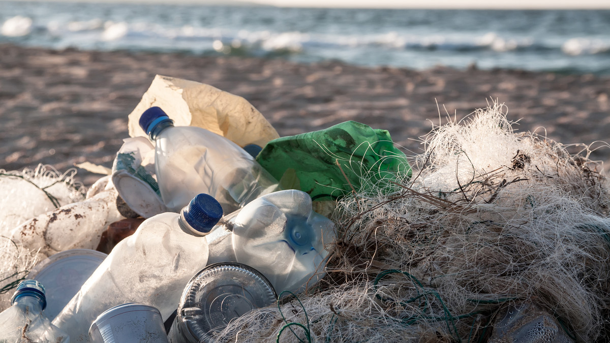 83 відсотки сміття у Чорному морі – пластик - фото 1