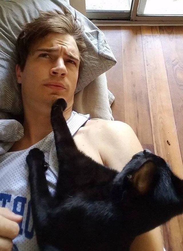 Домашні улюбленці, які не знають про манери: епічні фото - фото 344961