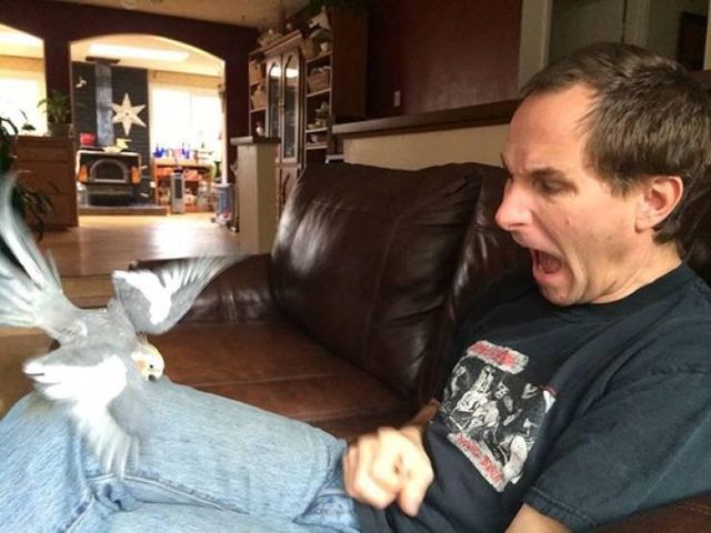 Домашні улюбленці, які не знають про манери: епічні фото - фото 344966