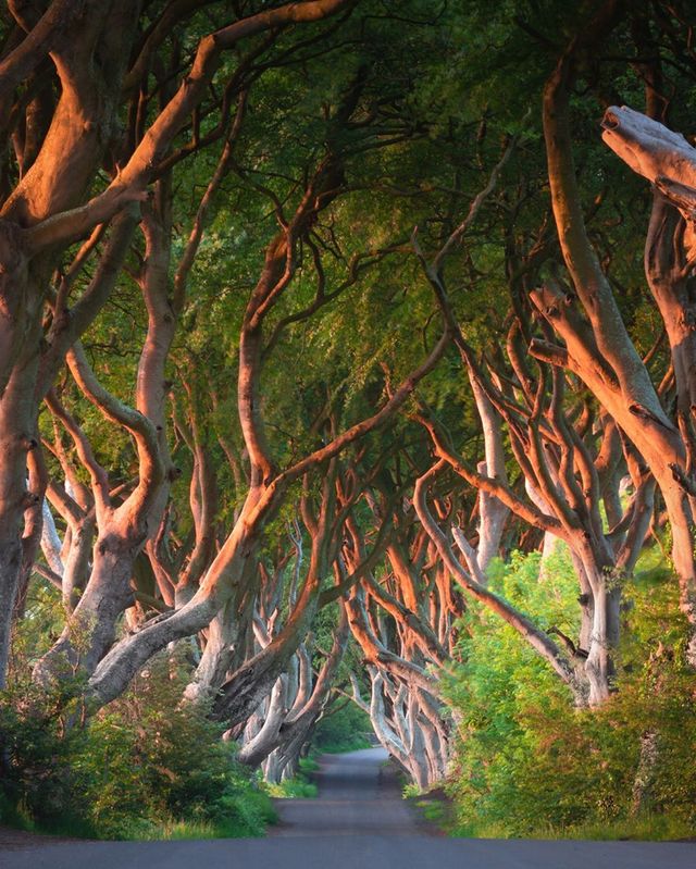 Пора пакувати валізи: ірландець надихає людей своїми мандрами - фото 345079