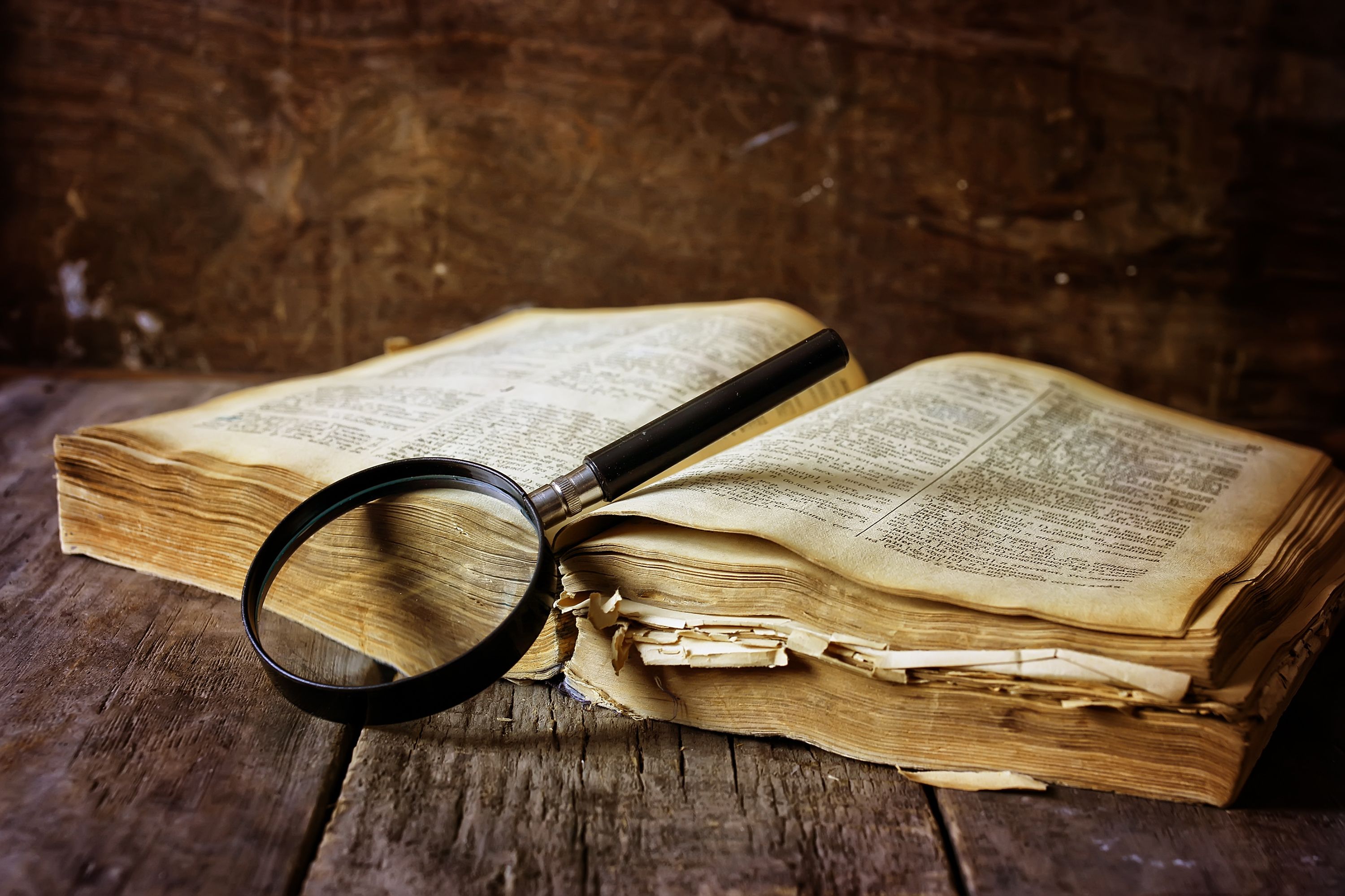 В австрійській бібліотеці знайшли фрагмент середньовічної поеми про вульву, яка говорить