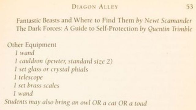 Рідкісну книжку про Гаррі Поттера продали за шалені гроші - фото 345133