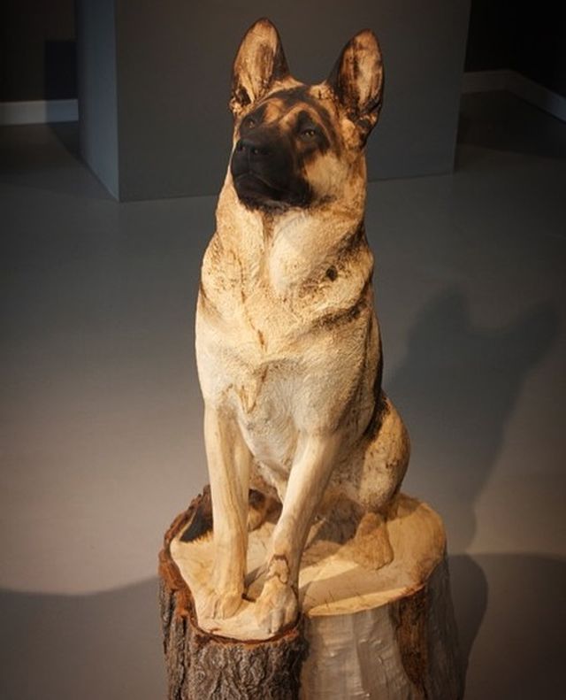 Іспанець вирізає з дерева реалістичних тварин: вражаючі фото - фото 345666