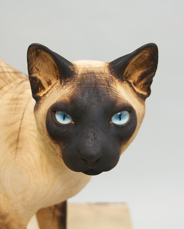 Іспанець вирізає з дерева реалістичних тварин: вражаючі фото - фото 345673