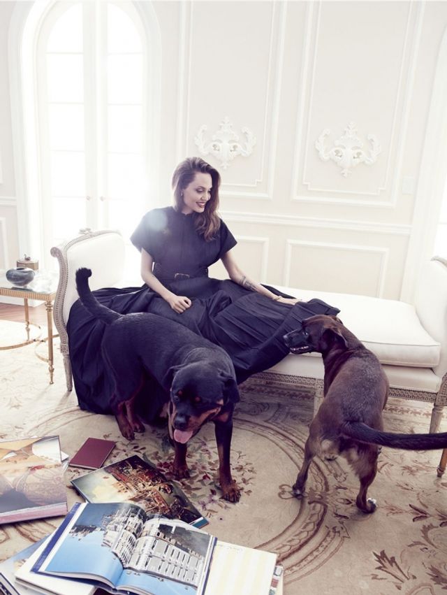 Мене б палили на вогнищі: Анджеліна Джолі вразила відвертим есе - фото 345857