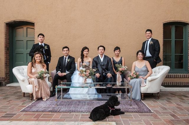 Фотограф робить курйозні, зате правдиві фото на весіллях. Ви будете сміятись до сліз! - фото 346129