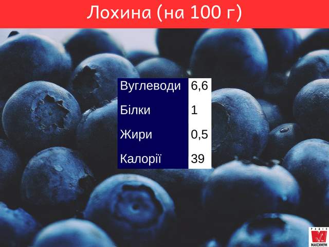 Лохина – що це за ягода та чому така дорога: користь, шкода, властивості - фото 346217