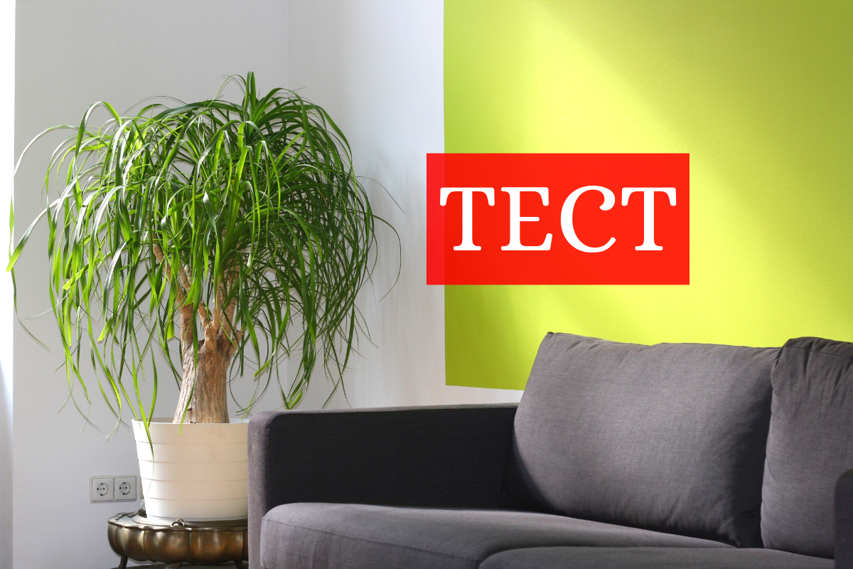 тест для кіноманів - фото 1