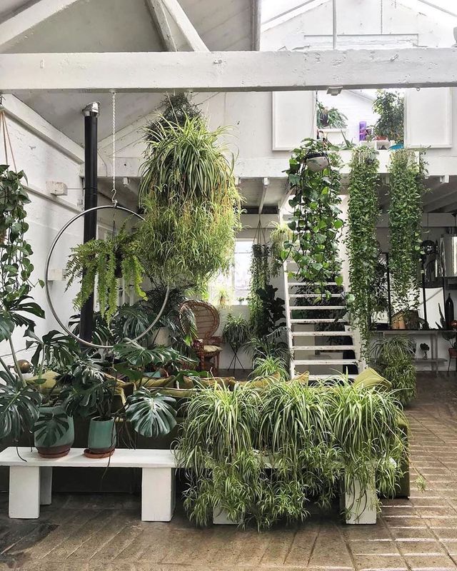 У Лондоні відкриють перший у світі готель для кімнатних рослин - фото 346884