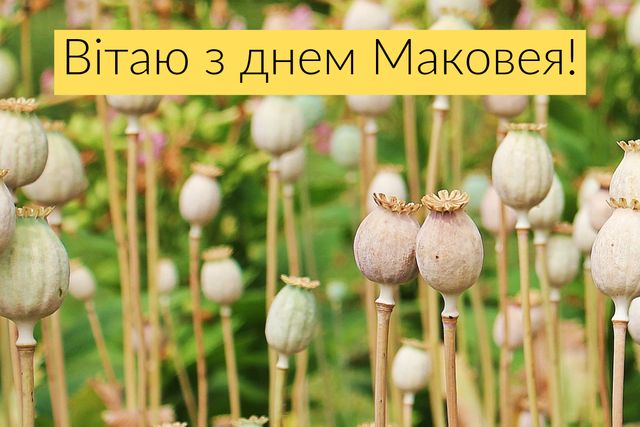 Привітайте рідних з Медовим Спасом красивими картинками та відкритками з Маковеєм - фото 347287