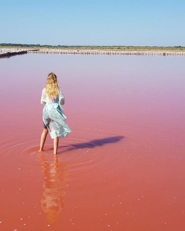 Леся Нікітюк показала ефектні знімки з унікального рожевого озера в Україні - фото 347364
