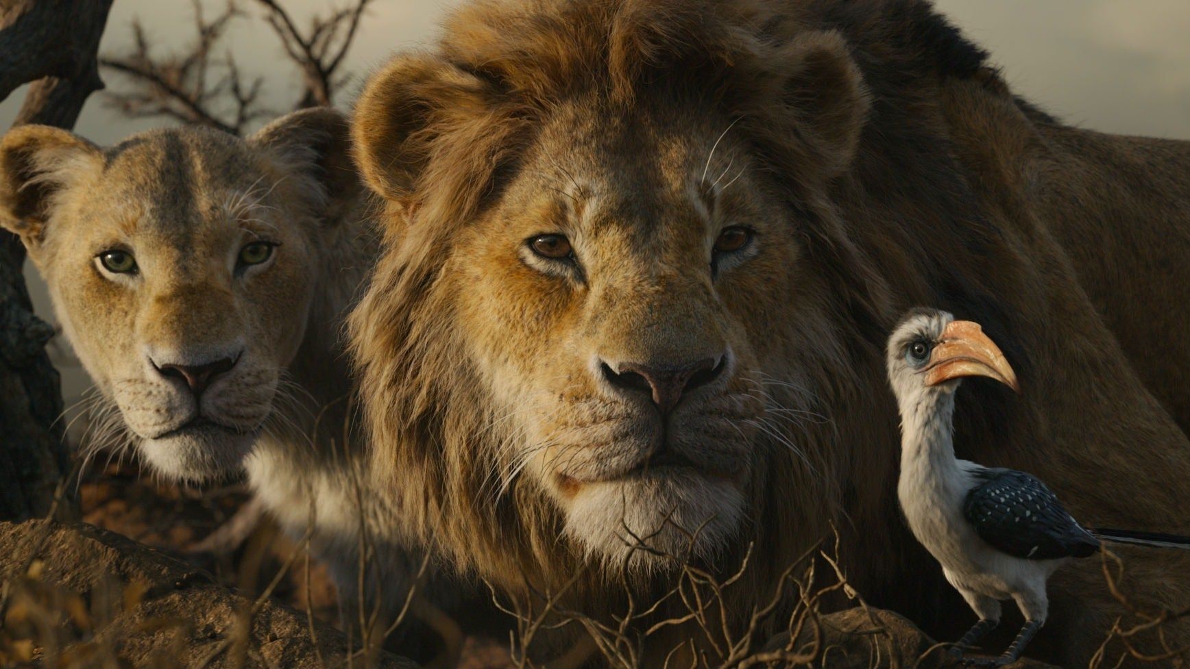 Король Лев став найуспішнішою анімацією в історії