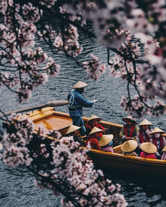 Японія у вуличних фото, які приковують погляд: яскраві кадри - фото 347769
