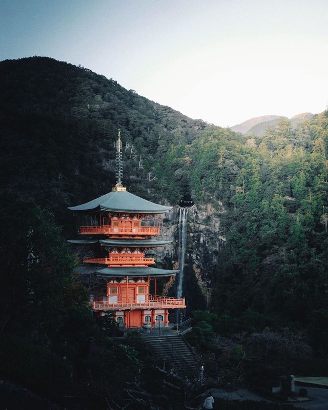 Японія у вуличних фото, які приковують погляд: яскраві кадри - фото 347783