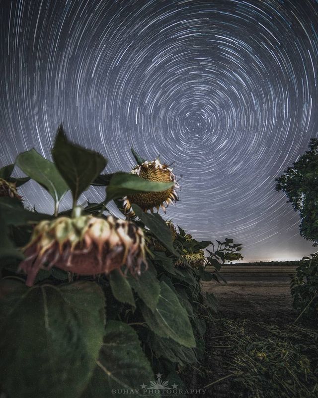 Космос поряд: вражаючі фото нічного неба з Землі - фото 348290