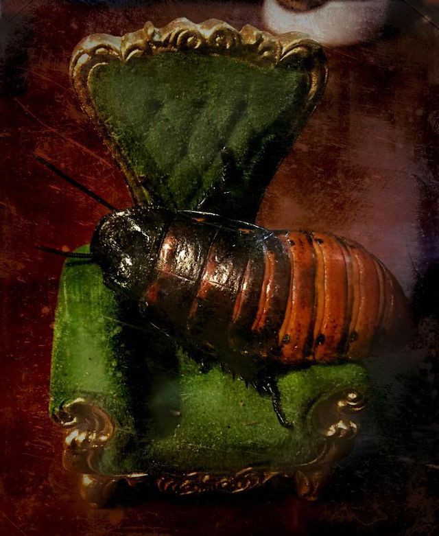 Десерти від цього майстра можуть не на жарт налякати - фото 348304