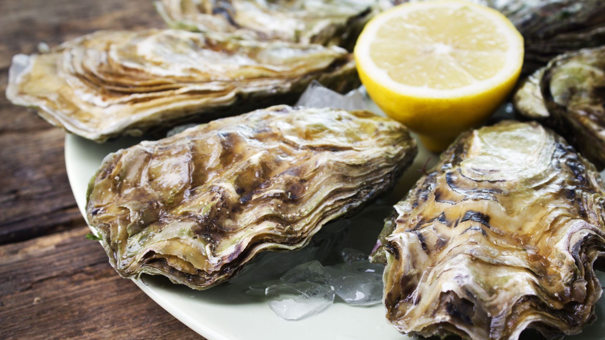 Як виглядає велика устриця - фото 1