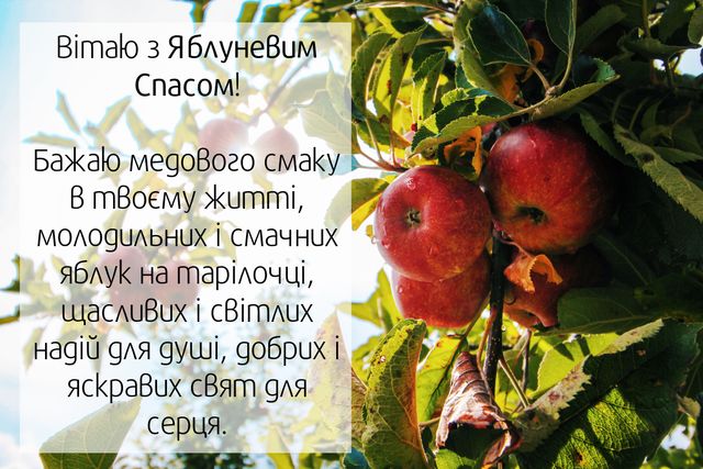 Картинки з Яблучним Спасом 2021: листівки та відкритки для привітання - фото 348538