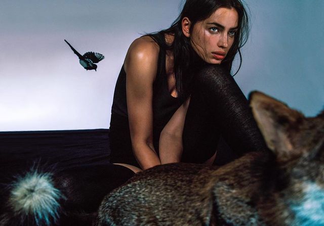 Ірина Шейк показала нову ефектну фотосесію - фото 348617