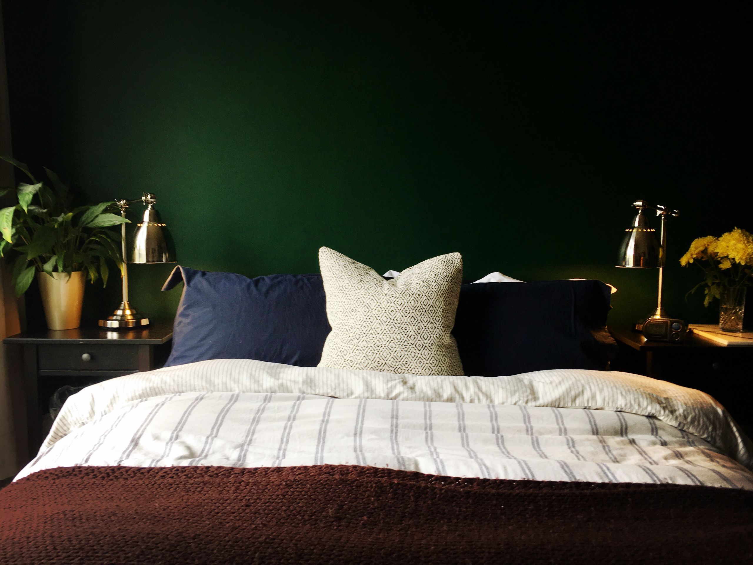 Заберіть ці рослини зі своєї спальні - фото 1