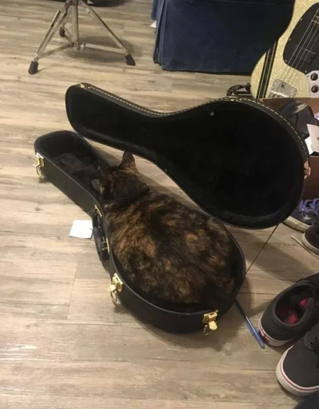 10 фото для візуального задоволення - фото 348796