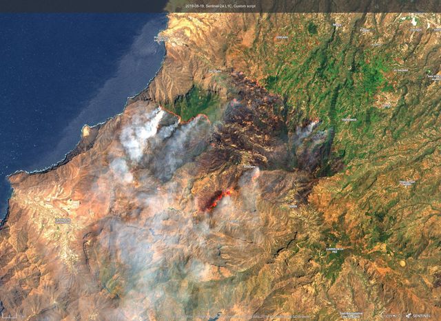 Пожежа на Канарах - фото 348930