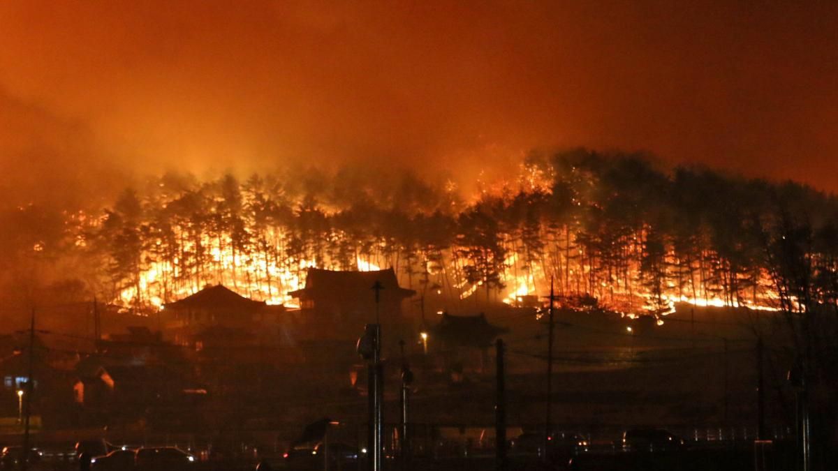 Пожежа на Канарських островах - фото 1