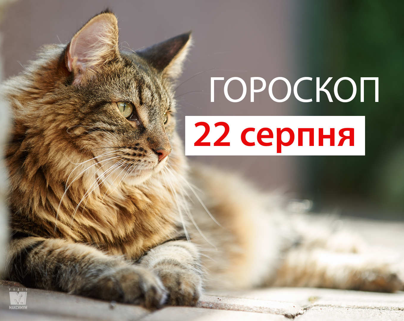 Гороскоп на 22 серпня 2019: прогноз для всіх знаків Зодіаку