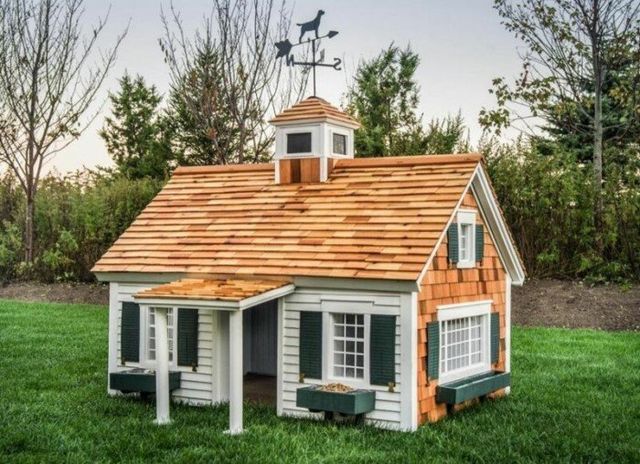 Ці будки для собак виглядають краще, ніж ваш дім - фото 349253
