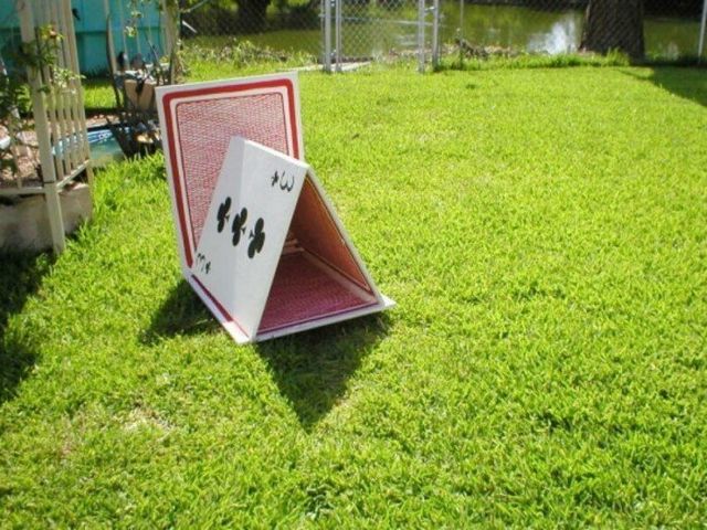 Ці будки для собак виглядають краще, ніж ваш дім - фото 349260