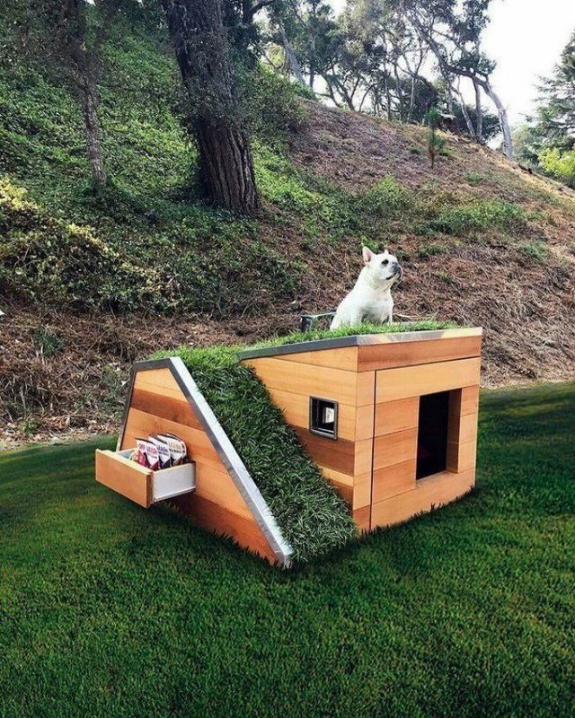 Ці будки для собак виглядають краще, ніж ваш дім - фото 349262