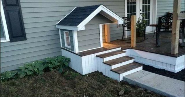 Ці будки для собак виглядають краще, ніж ваш дім - фото 349263