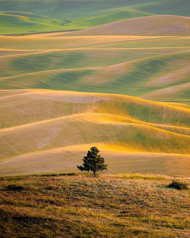 Фото цього американця надихають мандрувати світом: яскраві кадри - фото 349400