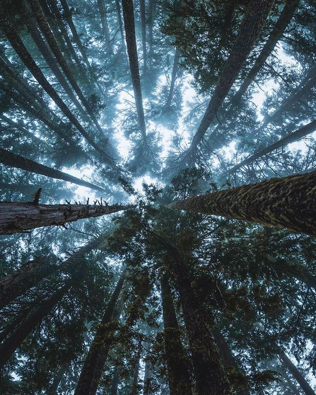 Фото цього американця надихають мандрувати світом: яскраві кадри - фото 349401