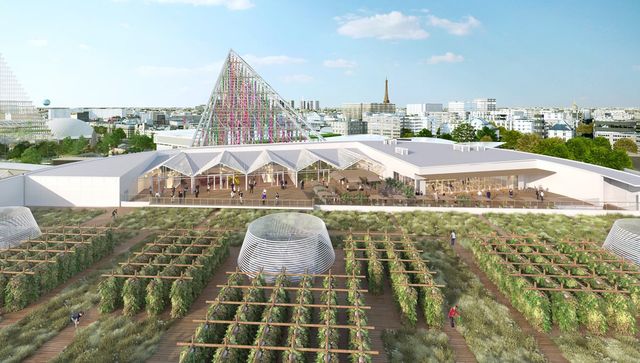 На даху однієї з будівель Парижу відкриють найбільший у світі город - фото 349710