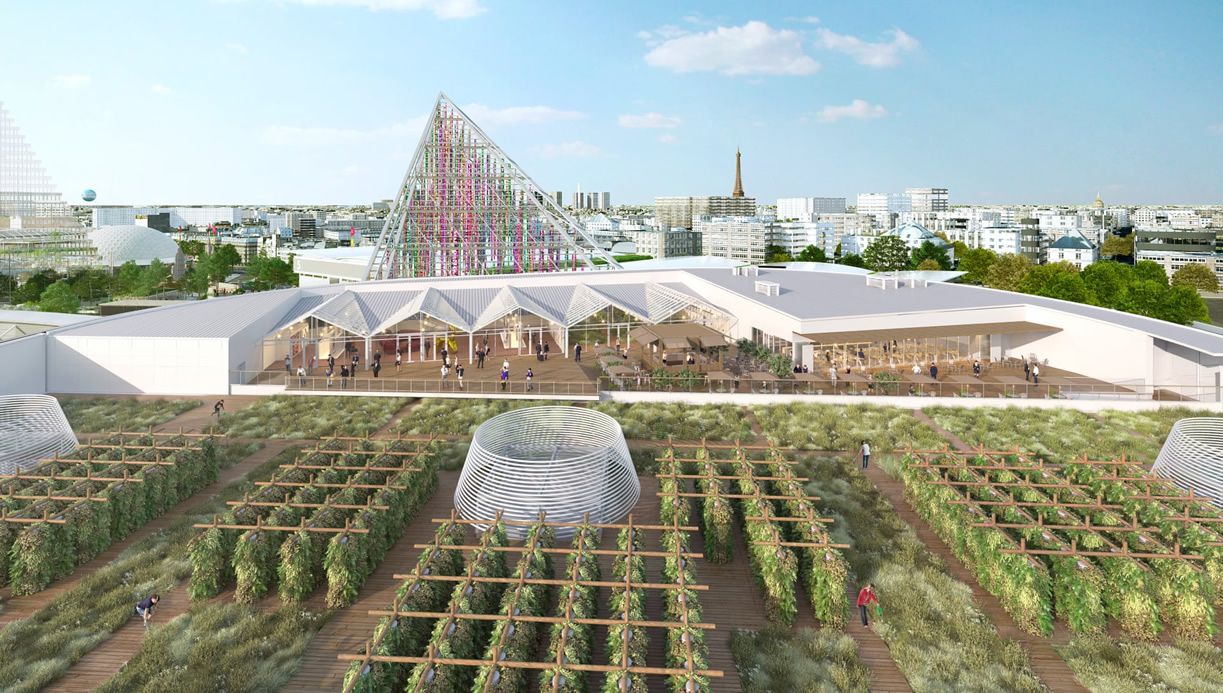 На даху однієї з будівель Парижу відкриють найбільший у світі город