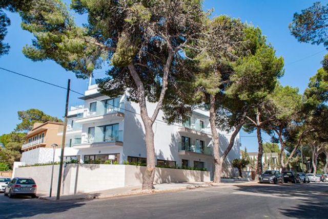 У цей готель чоловікам вхід суворо заборонений: чому - фото 349814