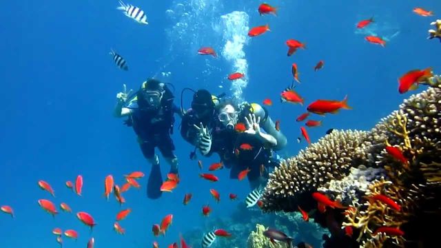 Відпочинок по-королівськи: чому варто поїхати на море в Йорданію - фото 349883