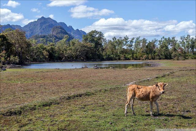 Українці тепер можуть літати без віз у ще одну країну - фото 350154