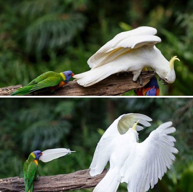 pikachuuuuu - фото 350172