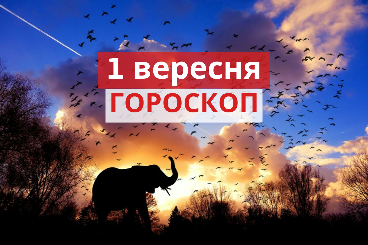 Гороскоп на 1 вересня 2019: прогноз для всіх знаків Зодіаку
