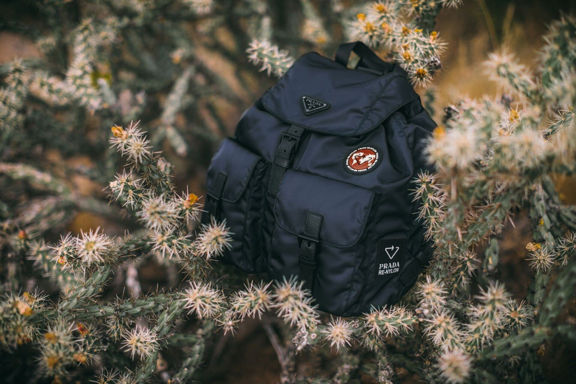 Prada нагадує про проблеми довкілля - фото 1