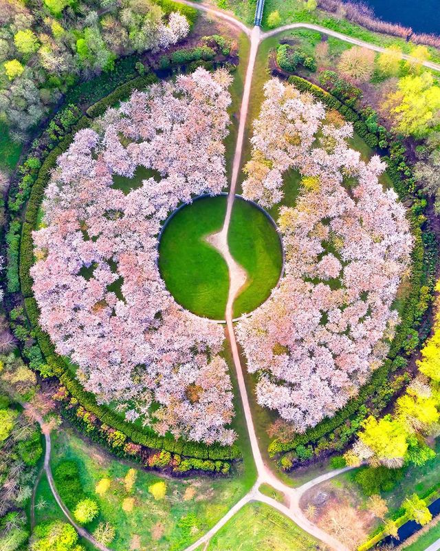 Вражаючі фото світу з висоти пташиного польоту: яскраві кадри - фото 350660