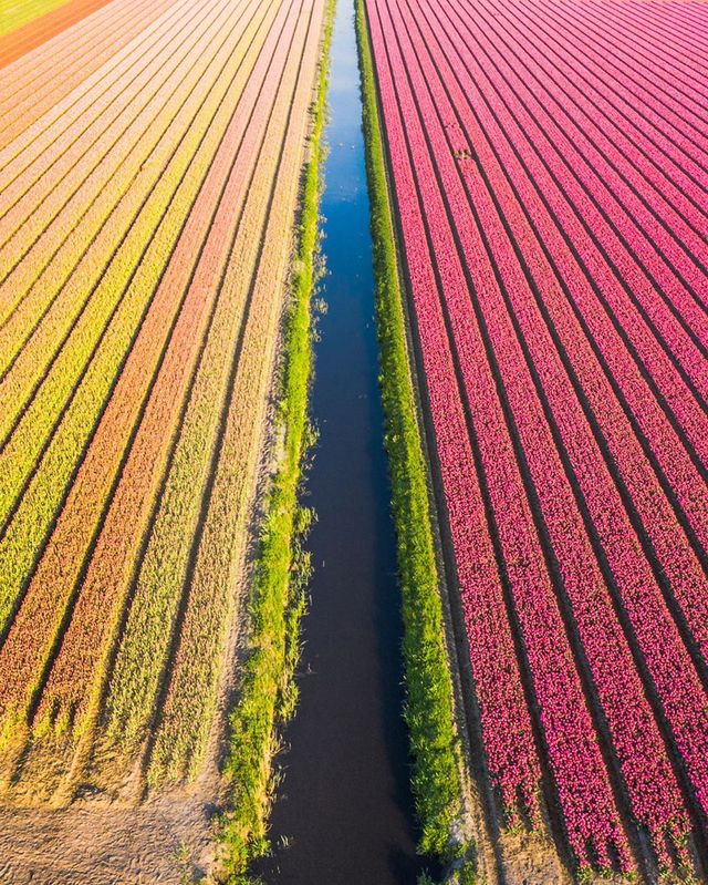Вражаючі фото світу з висоти пташиного польоту: яскраві кадри - фото 350667