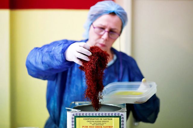 Як вирощують найдорожчу в світі спецію - фото 351031