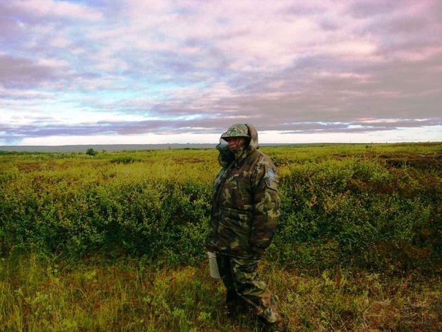 Жоден комар не пройде: вчені придумали одяг, який відлякує комах - фото 351733