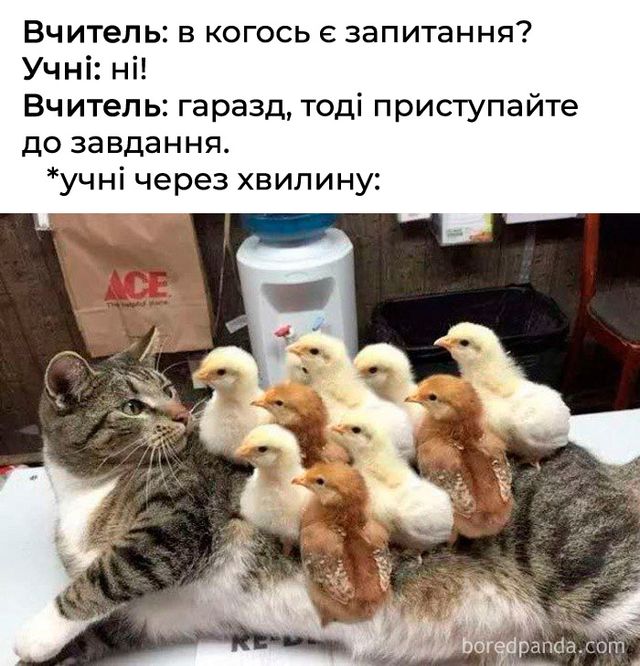 Найкрутіші меми про вчителів, які правдиві до сліз - фото 351769