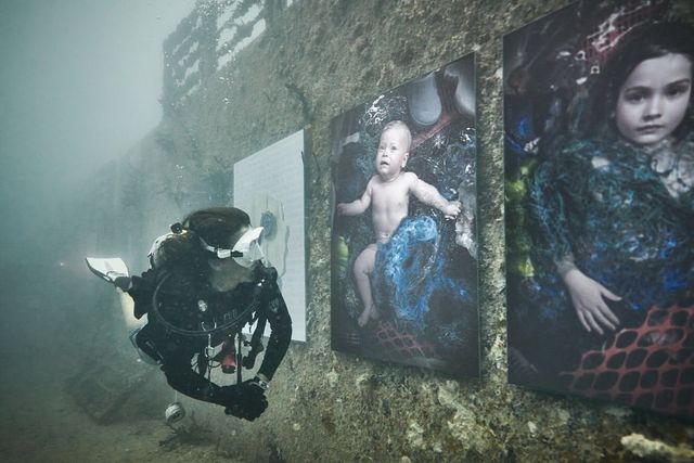 Фотограф з Австрії проводить виставки своїх робіт під водою: ефектні фото - фото 351889