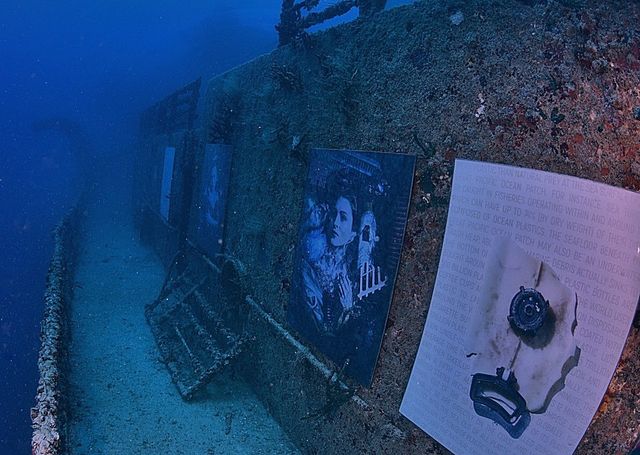 Фотограф з Австрії проводить виставки своїх робіт під водою: ефектні фото - фото 351893